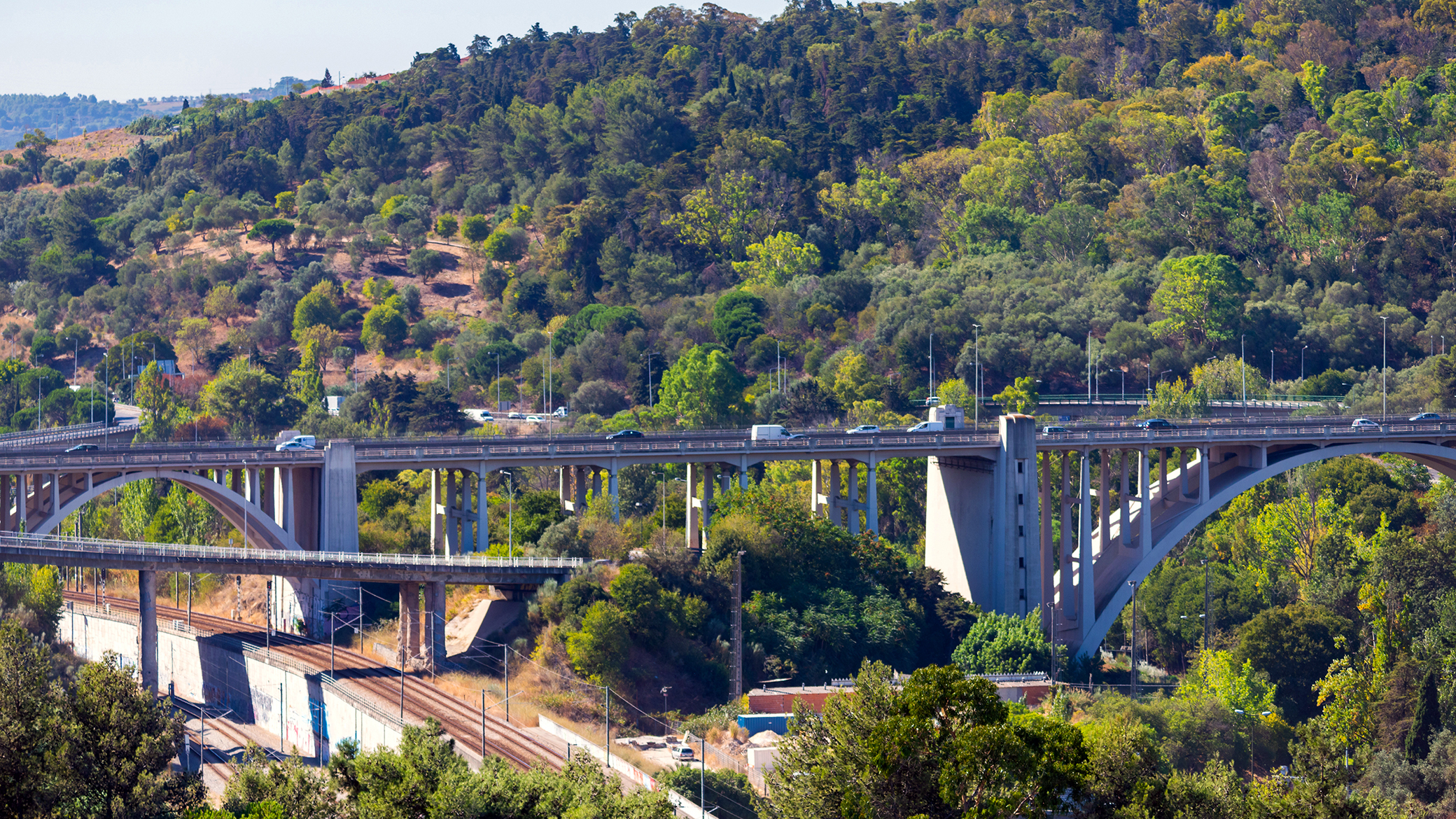 Lisboa Capital Verde 2020 marca agenda sustentável na capital