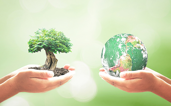 Biodiversidade em destaque no Dia Internacional das Florestas 2020