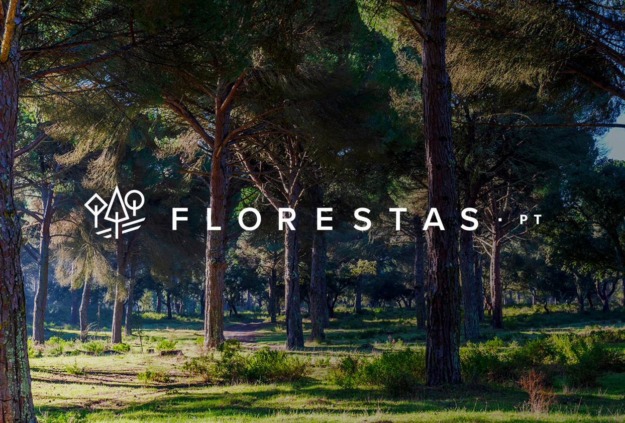 Florestas.pt: reveja o evento de lançamento