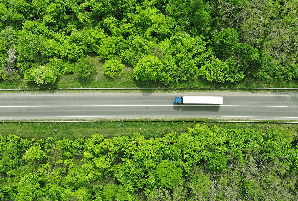 Exportações florestais de 2019 em linha com o ano anterior