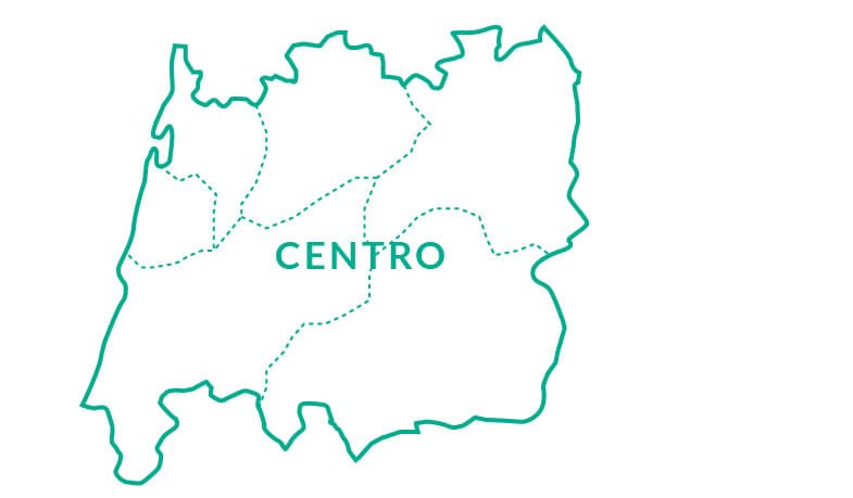 artigo_retrato_regional_centro