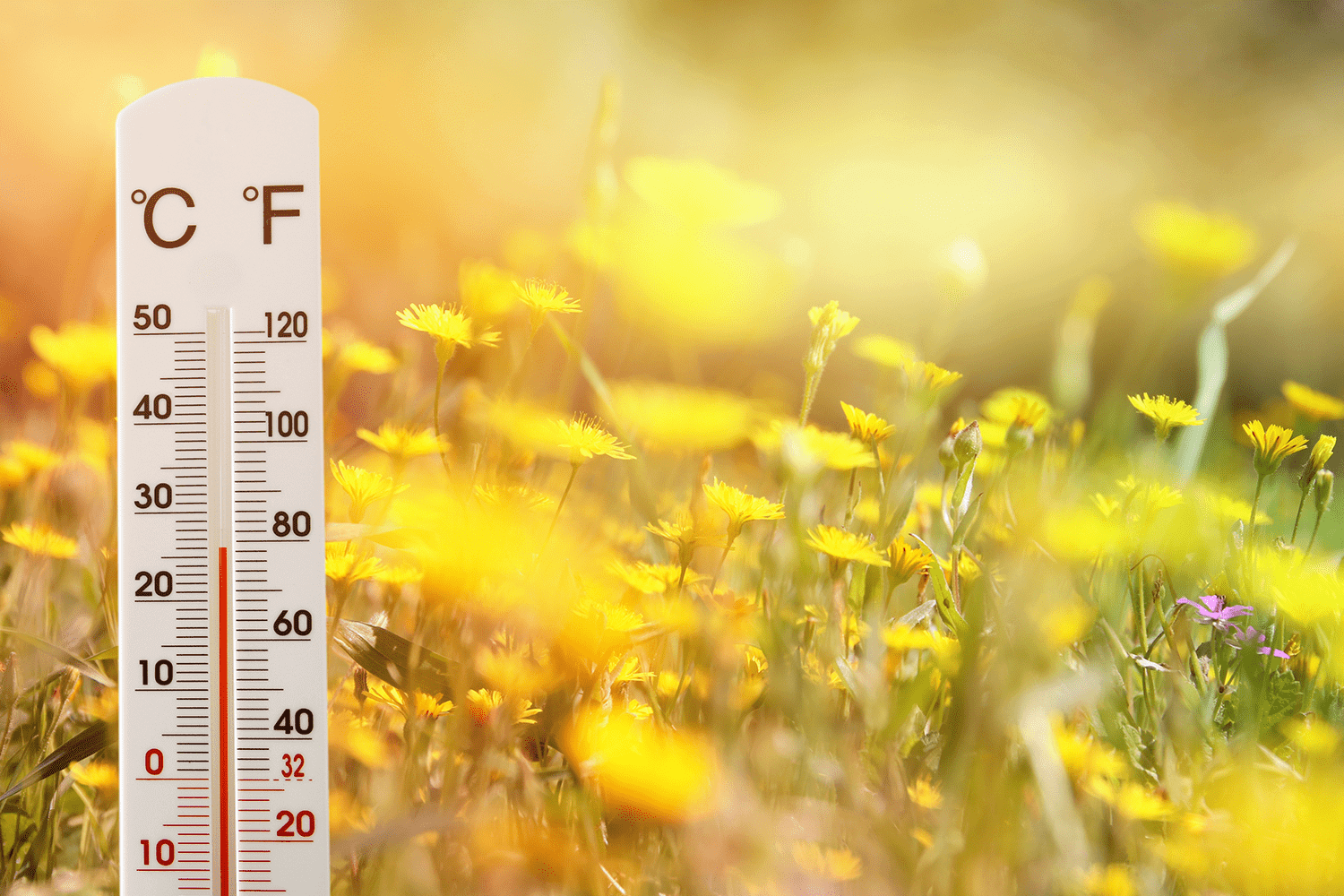 Portugal é o 14º país com melhor Desempenho Climático no CCPI 2021