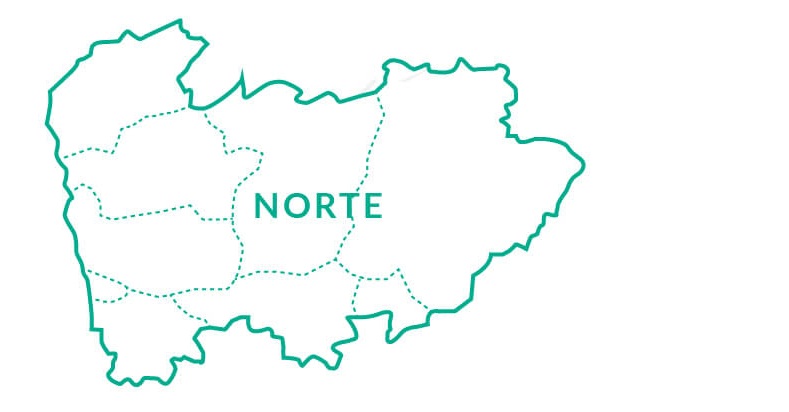 artigo_retrato_regional_norte