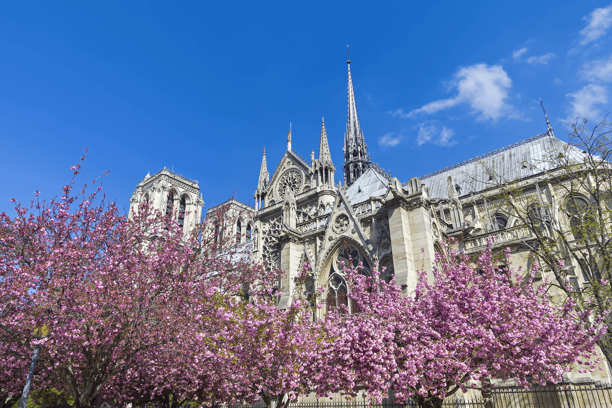 artigo_olaias_paris