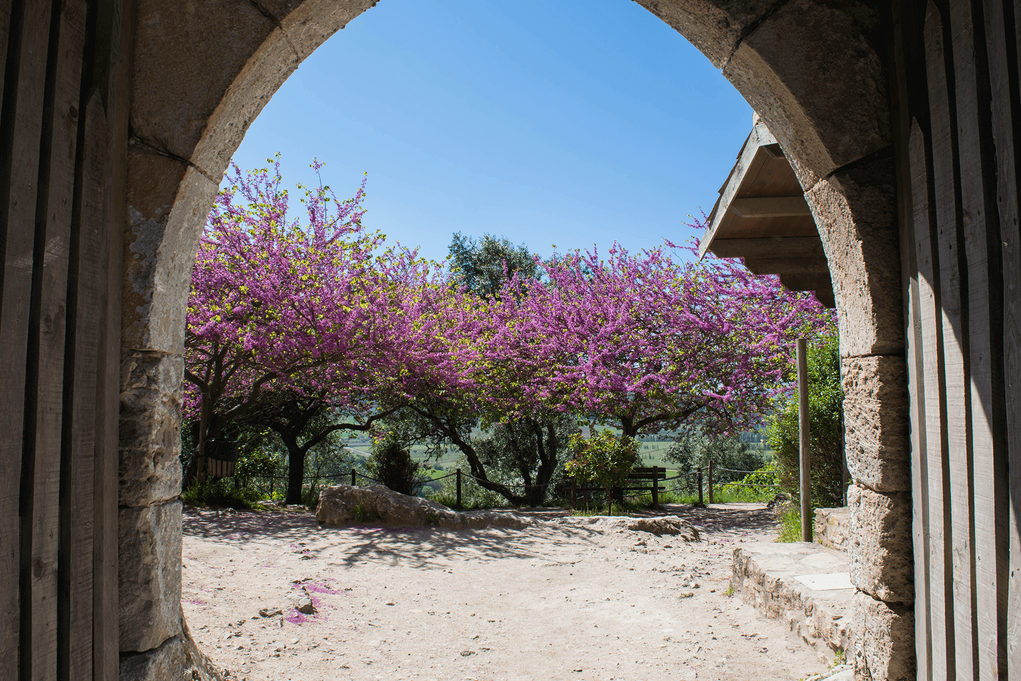 artigo_olaias_imagem_obidos
