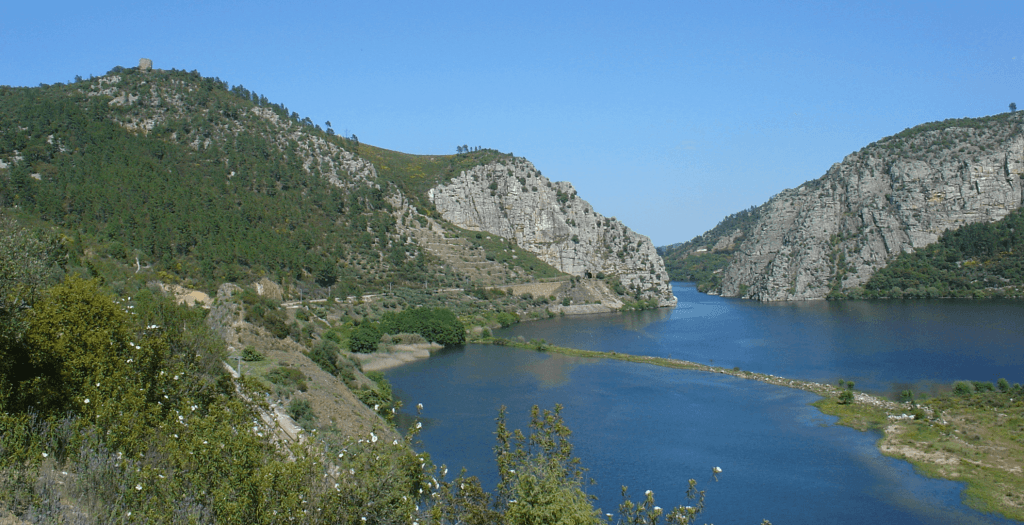 portas_de_rodao