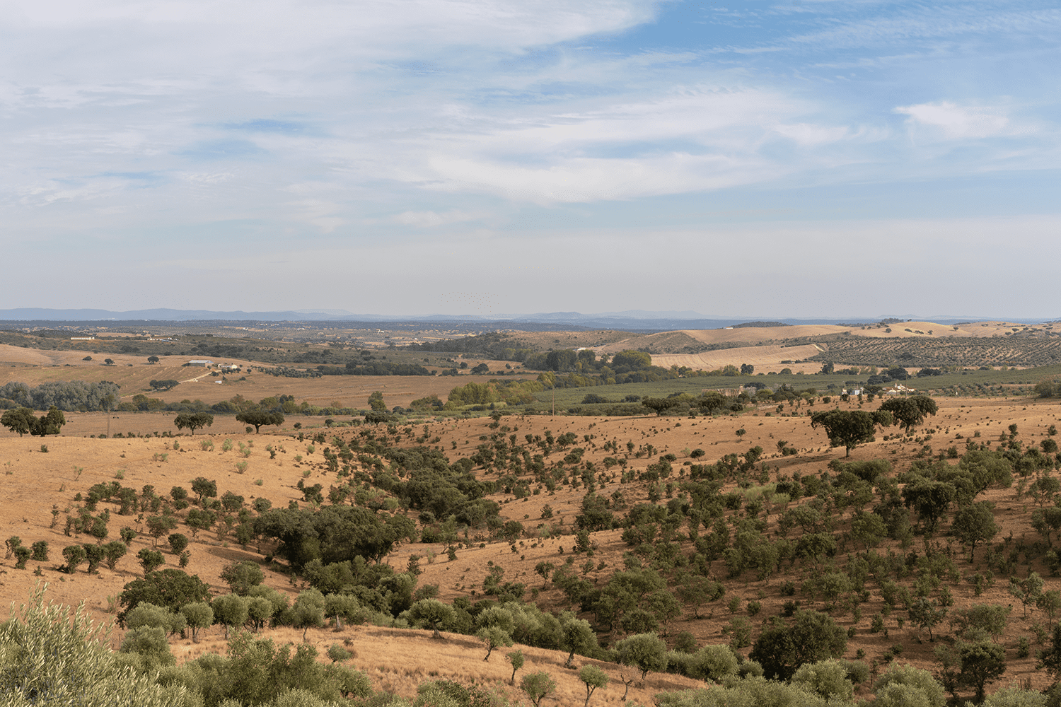 Dia Mundial do Combate à Seca e à Desertificação celebrado a 17 de junho