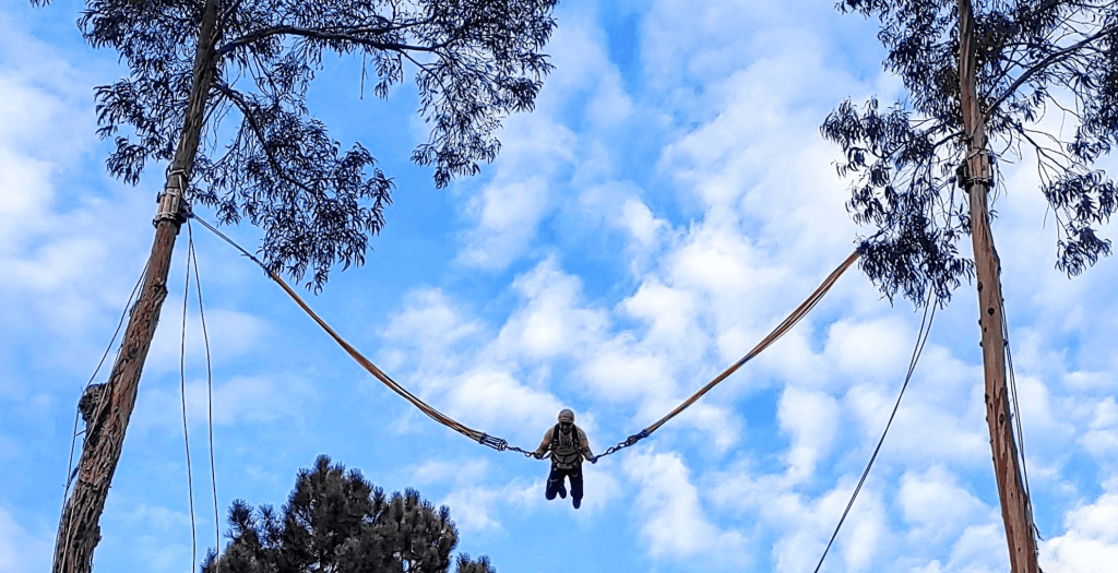 Salto_Negativo