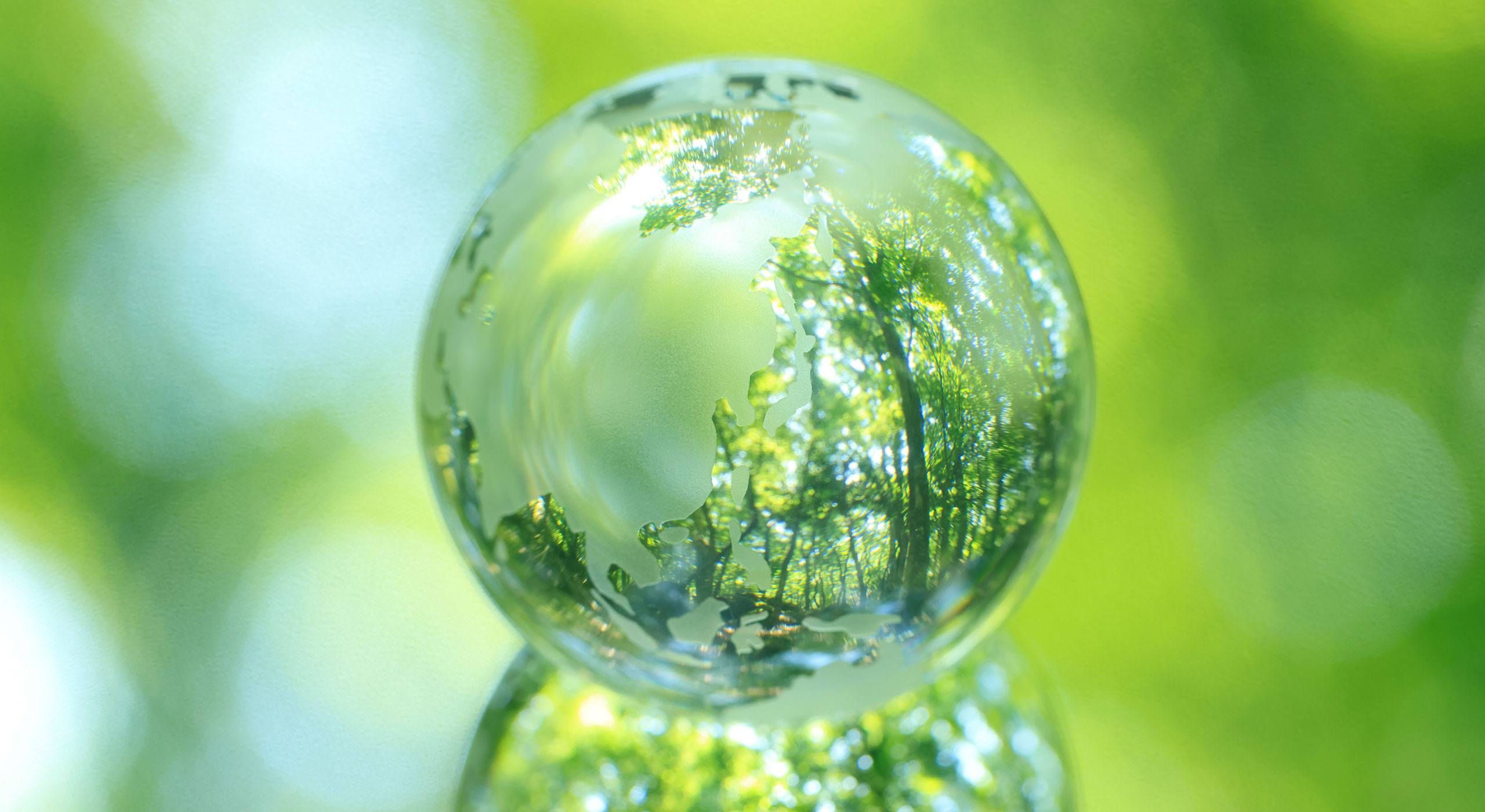 “Fit for 55”: novo pacote para as ambições climáticas da UE