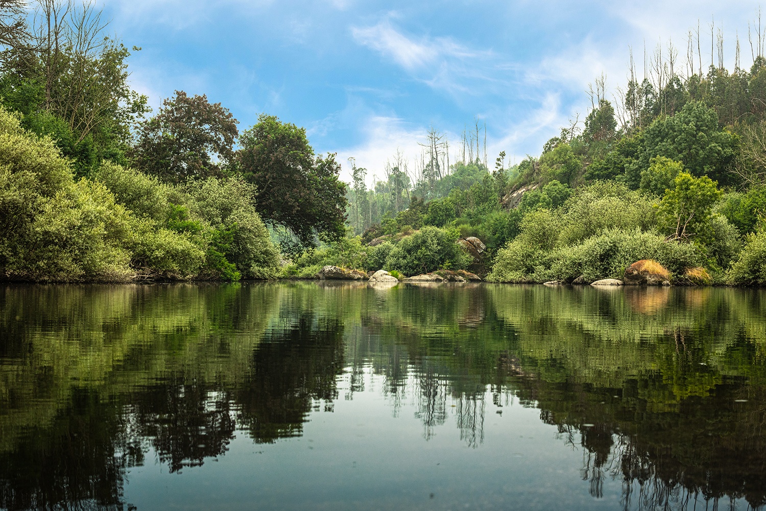 Dia Mundial dos Rios: uma data para assinalar a relação entre água e floresta