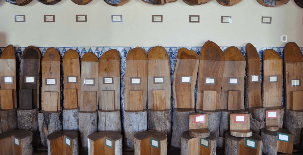 Xiloteca do Palácio da Calheta
