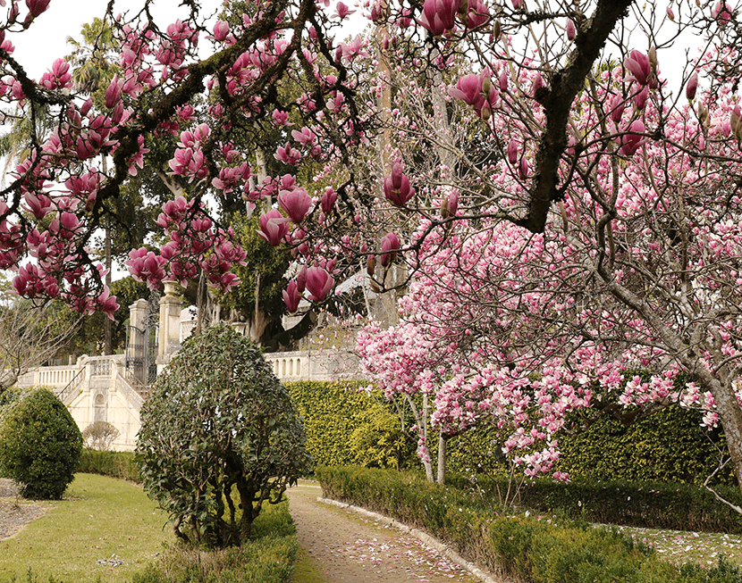 Jardins Botânicos