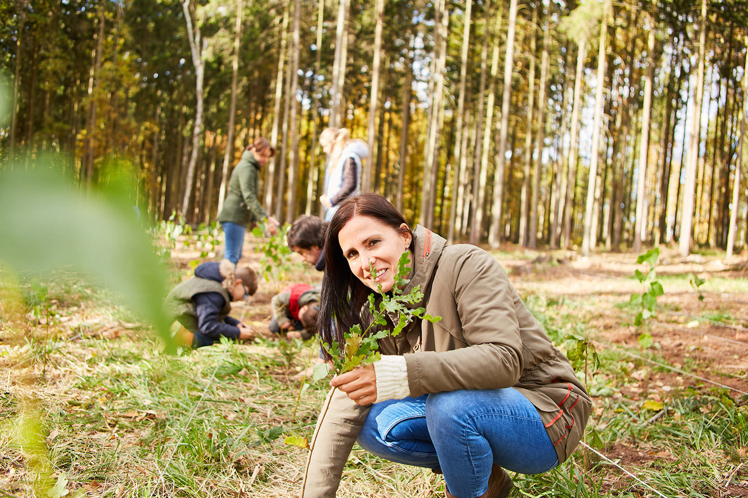 Campos internacionais de voluntariado 2022: jovens pela natureza, floresta e sustentabilidade