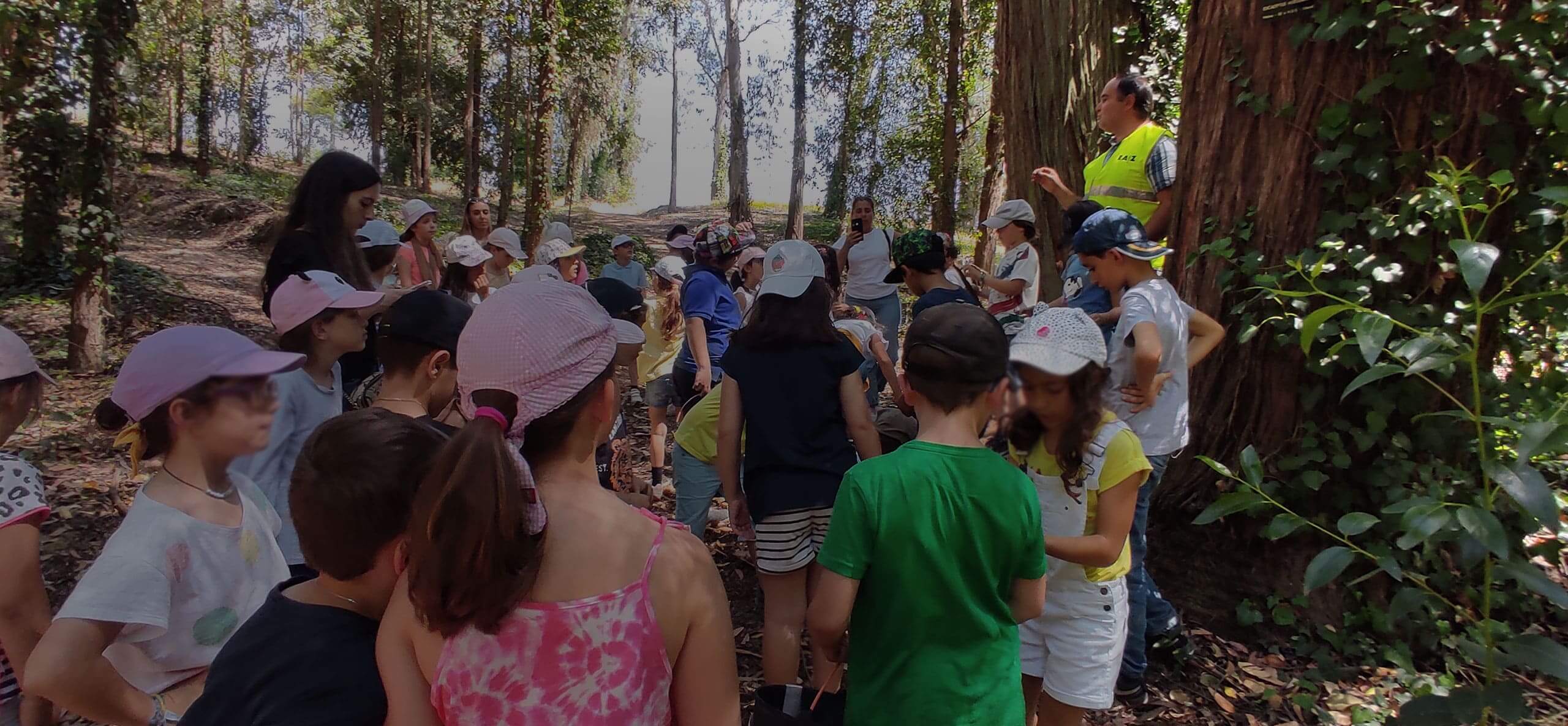 Programas educativos sobre a floresta disponíveis para receber escolas em 2023