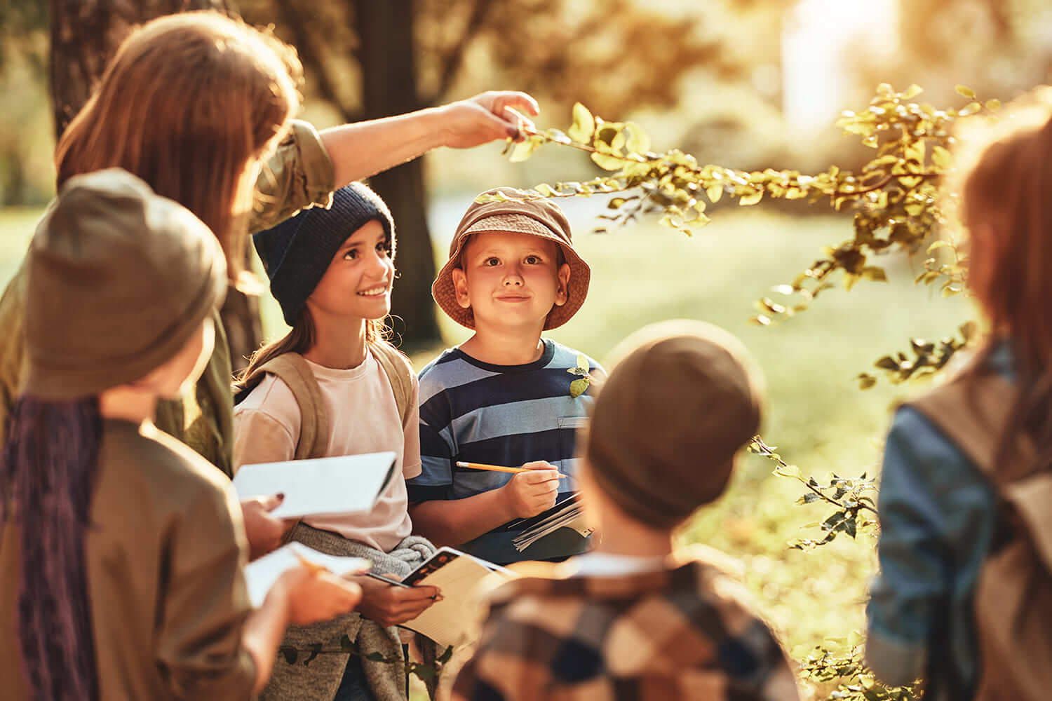 Novas recomendações da FAO para a educação florestal