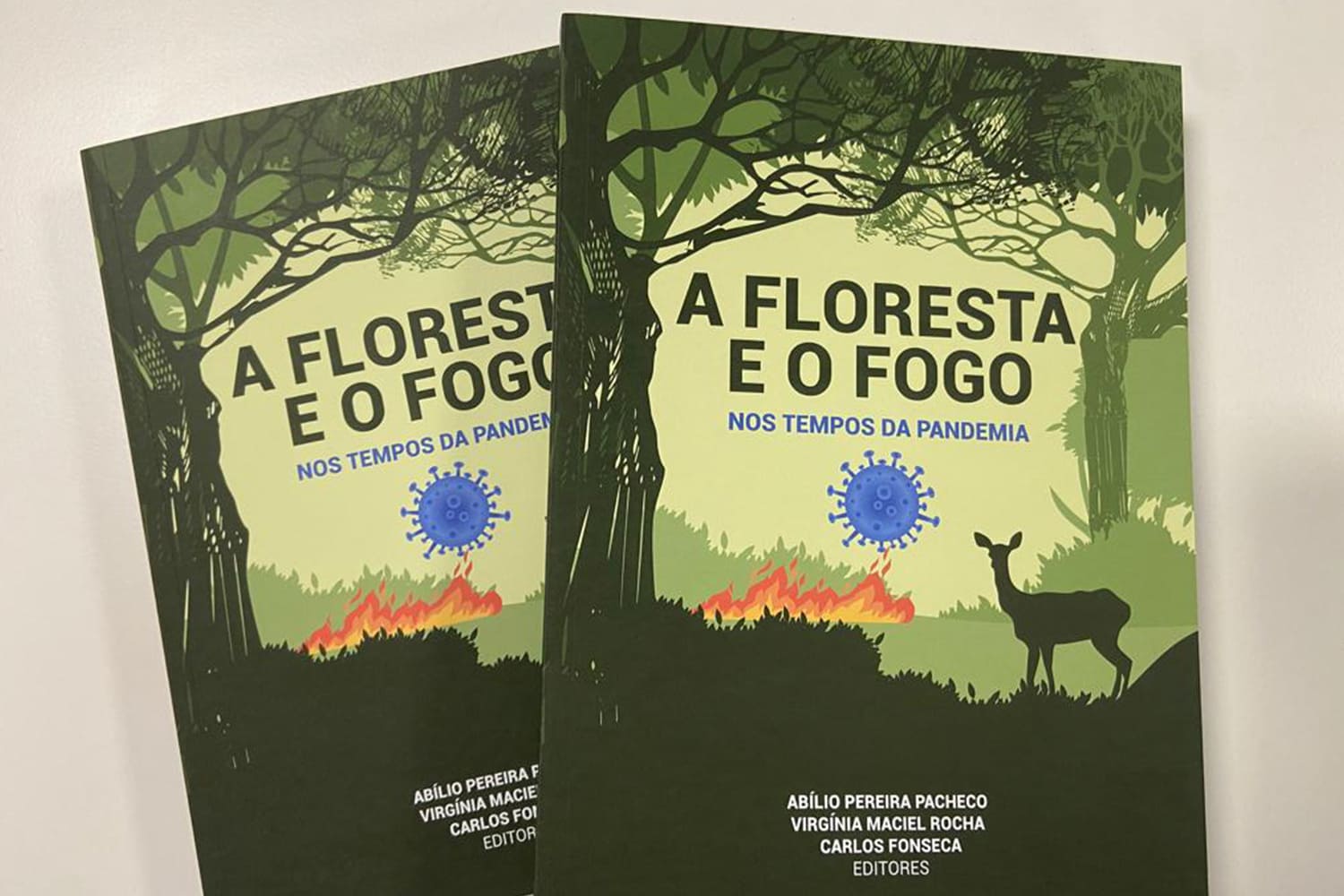 A floresta e o fogo nos tempos da pandemia: uma coletânea ForestWISE em breve também online