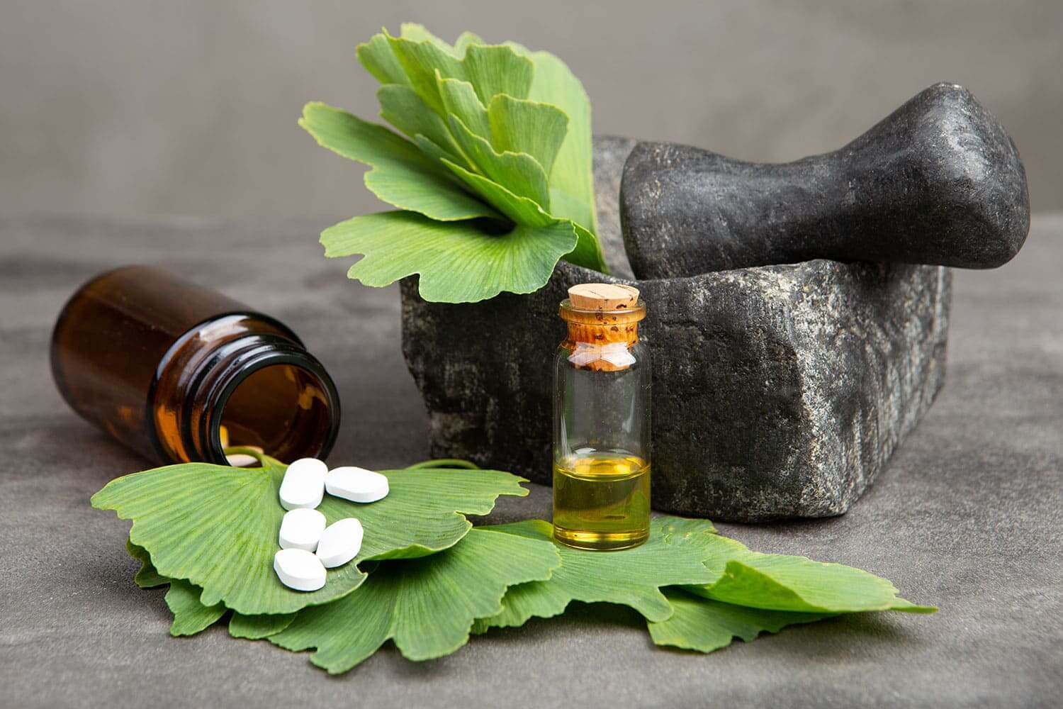 imagem-interior_Arvores-com-historia_5_VF imagem-interior_Arvores-com-historia_5_VF