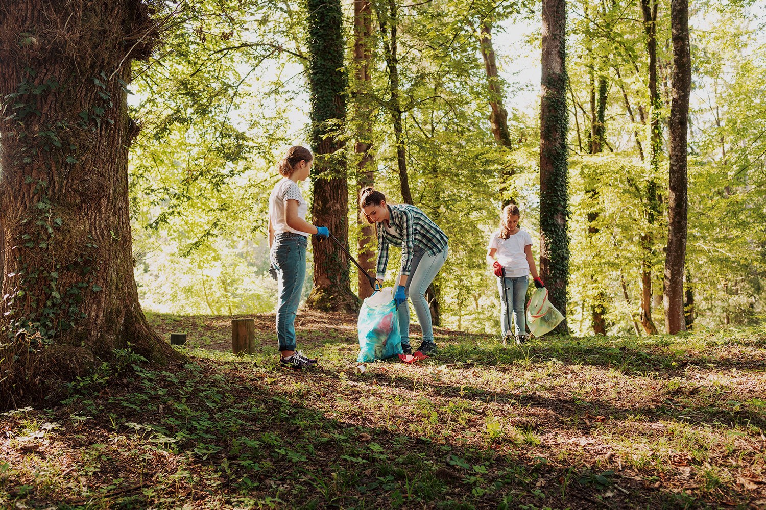 Inscrições abertas para o Voluntariado Jovem para a Natureza e Florestas 2023