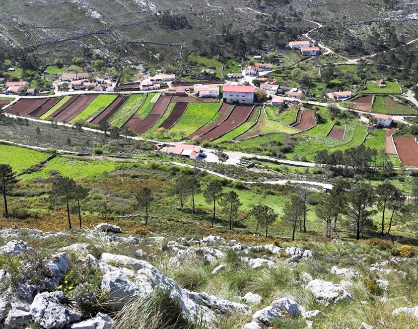 Interior-Comentario-HPS