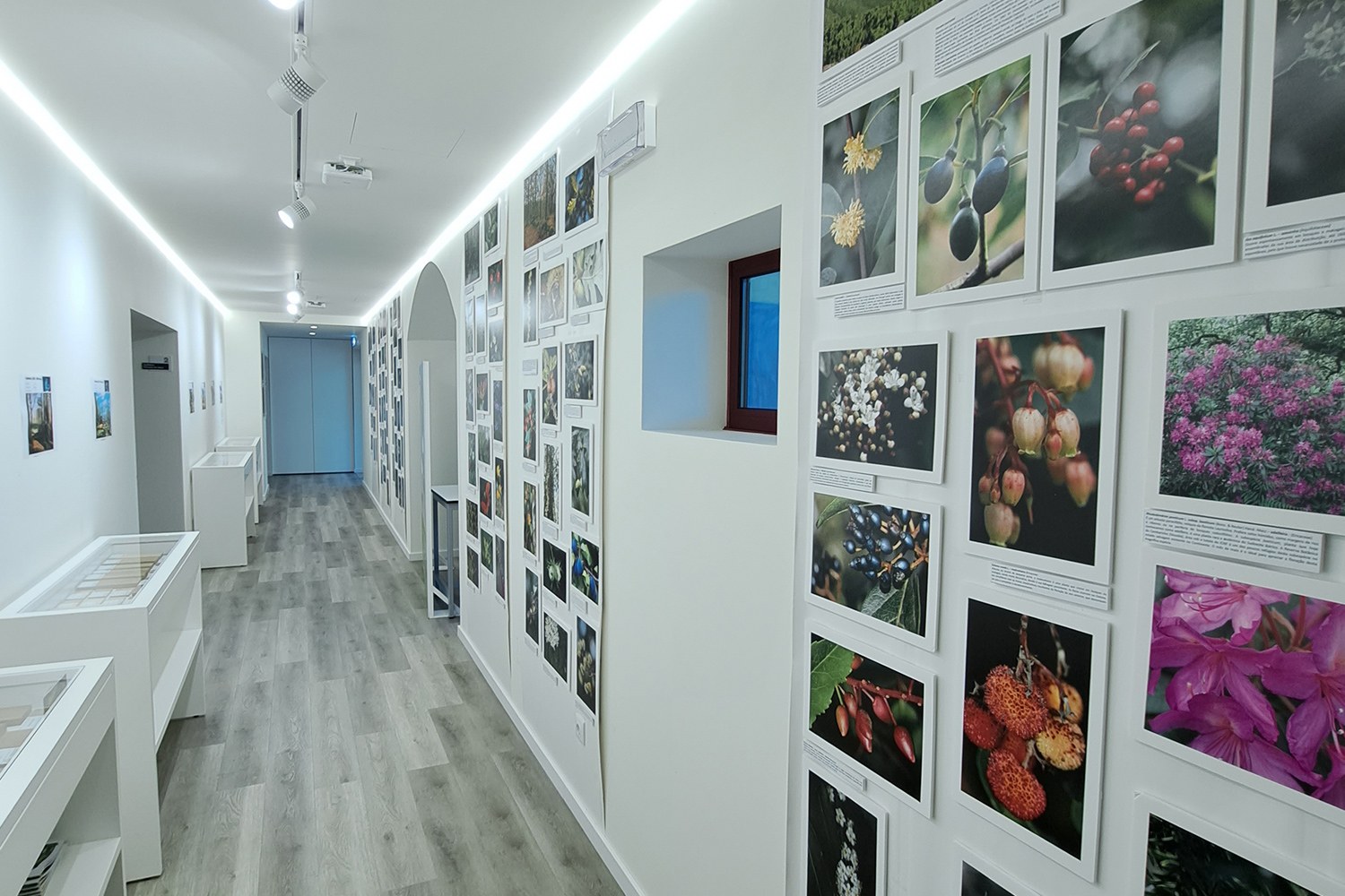 Exposição fotográfica Floresta Portuguesa – Um Olhar Mais Atento, um convite à descoberta