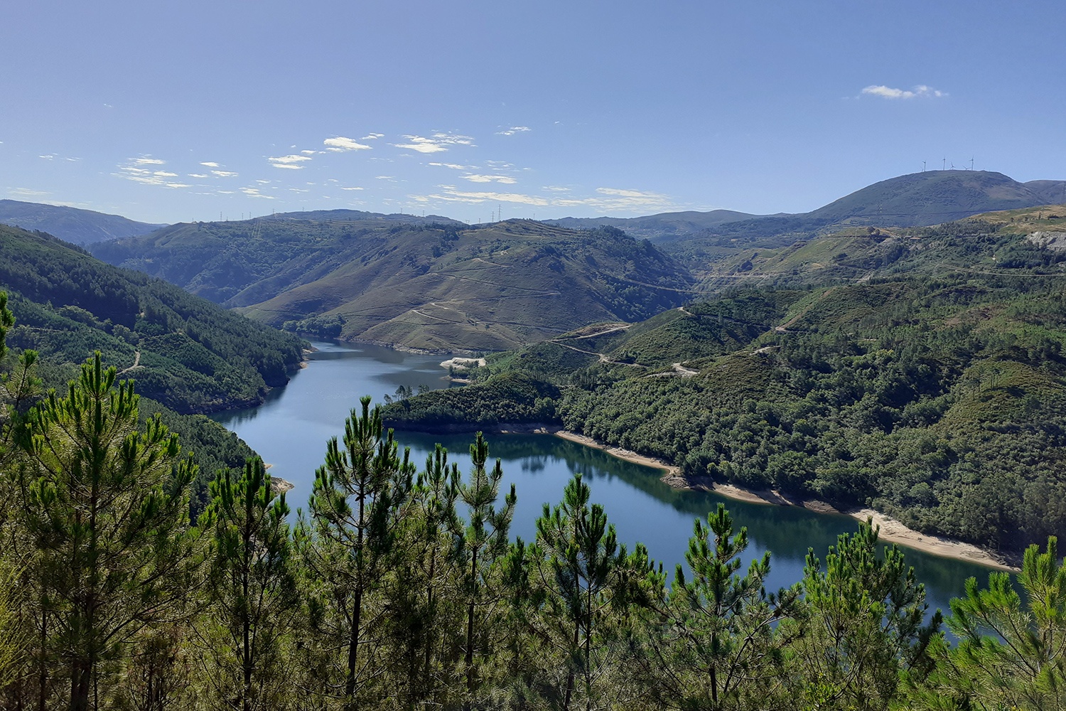 Prémio Europeu Natura 2000: candidaturas abertas para a edição de 2024