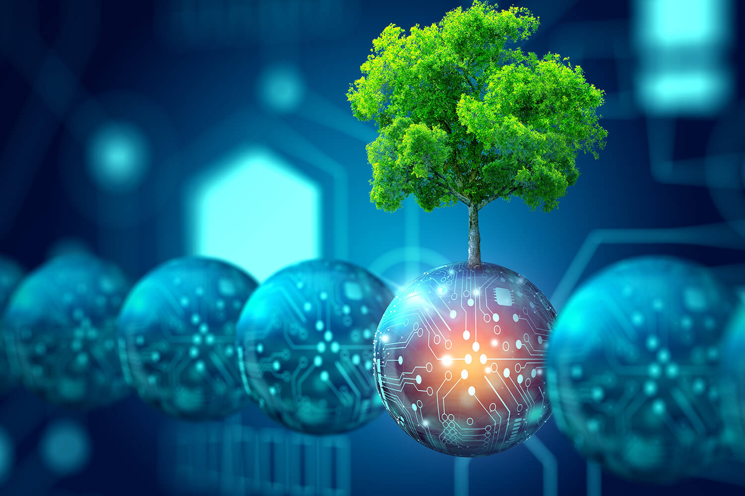 Projeto Adaptation vai inspirar-se na fotossíntese para converter energia solar em eletricidade
