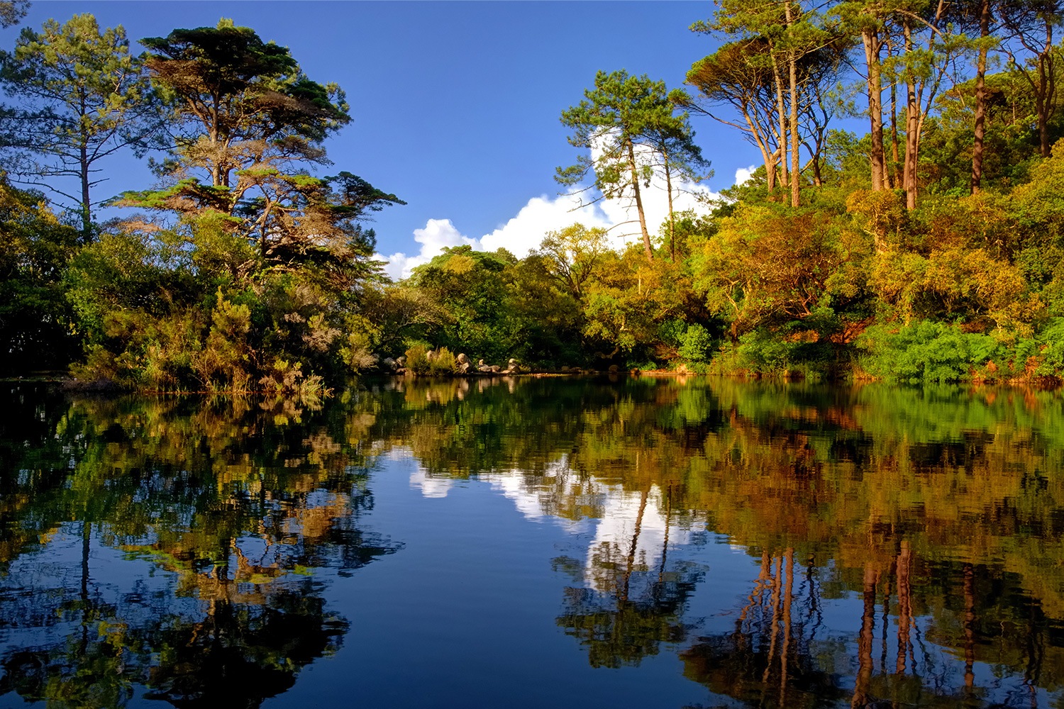 4.º Prémio Floresta é Sustentabilidade já tem vencedores