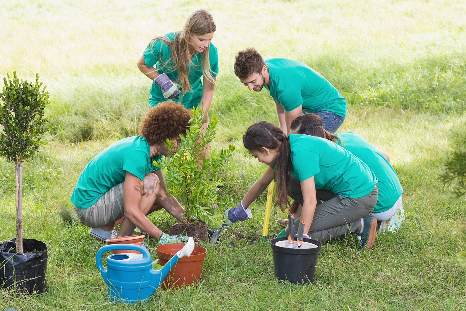 Voluntariado Jovem para a Natureza e Florestas 2024 procura candidatos