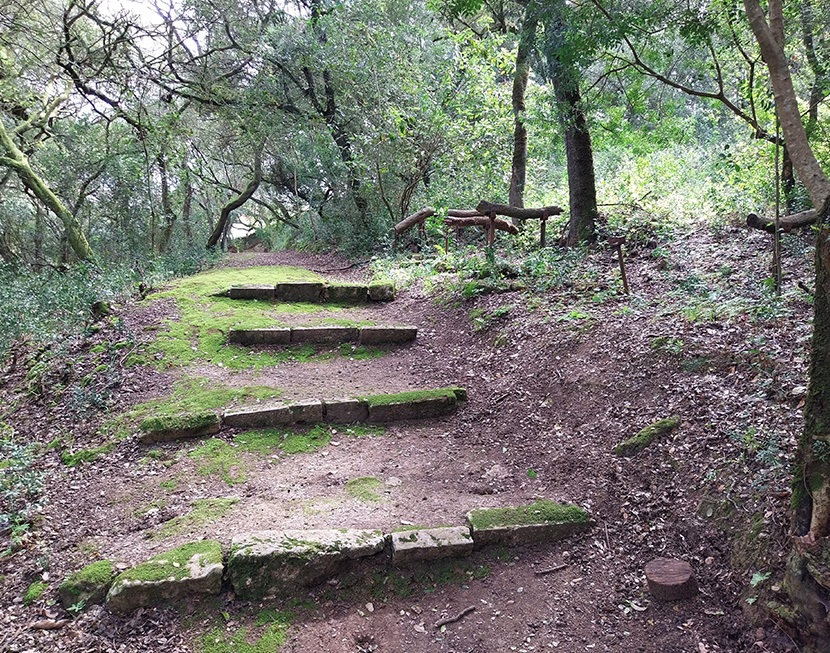 Interior-Comentario-FM Interior-Comentario-FM