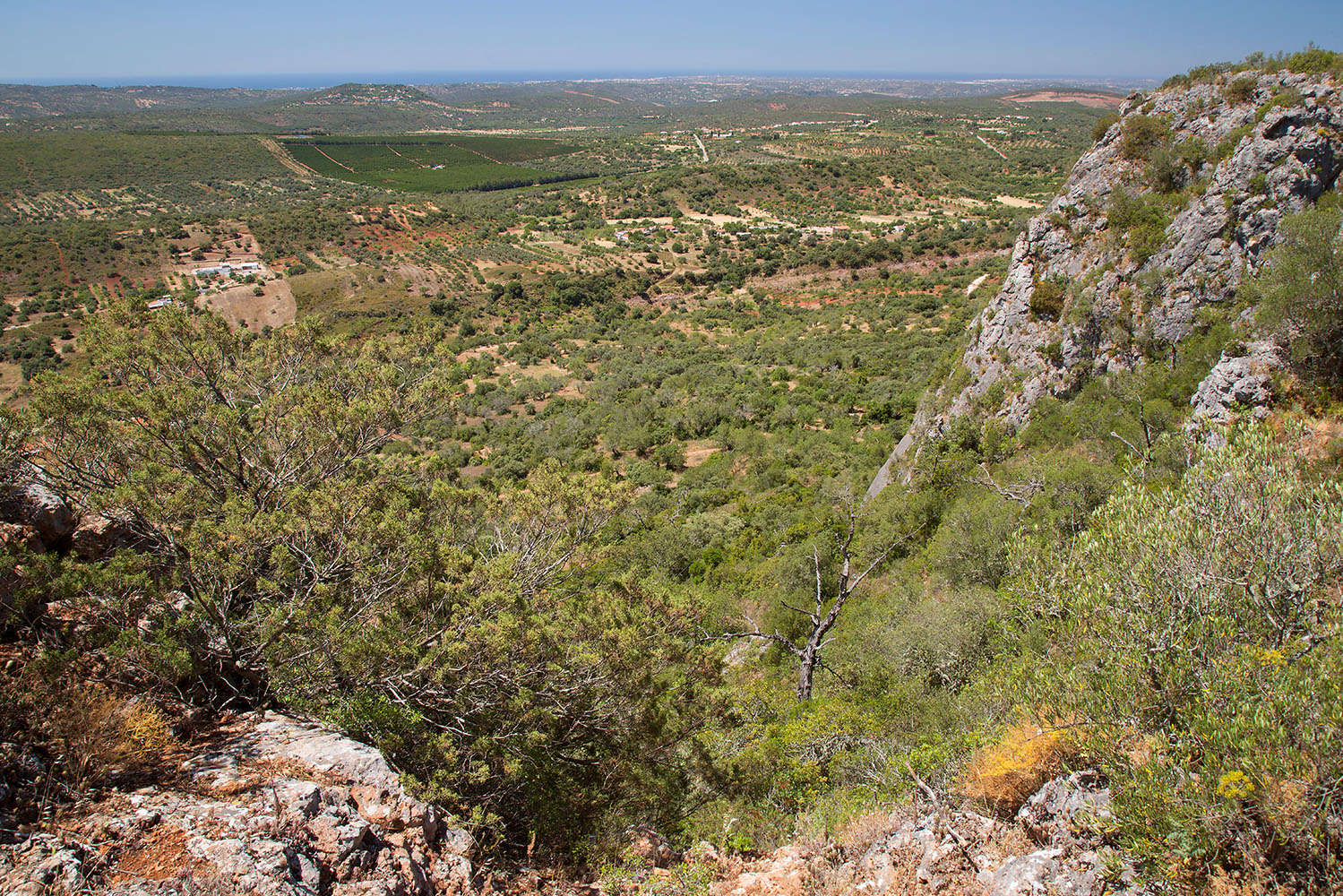 Paisagem Protegida Local da Rocha da Pena, Loulé
