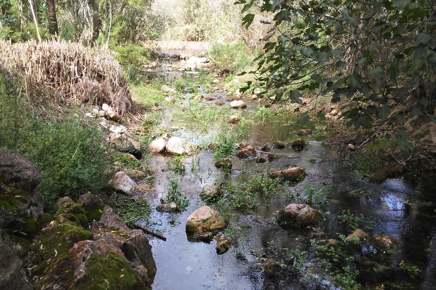 Paisagem Protegida Local da Fonte Benémola, em Loulé