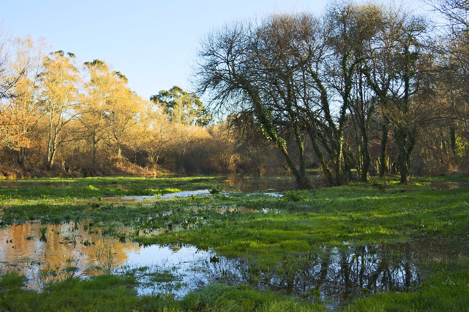 Paisagem Protegida Regional das Lagoas de Bertiandos e S. Pedro d’Arcos, em Ponte de Lima