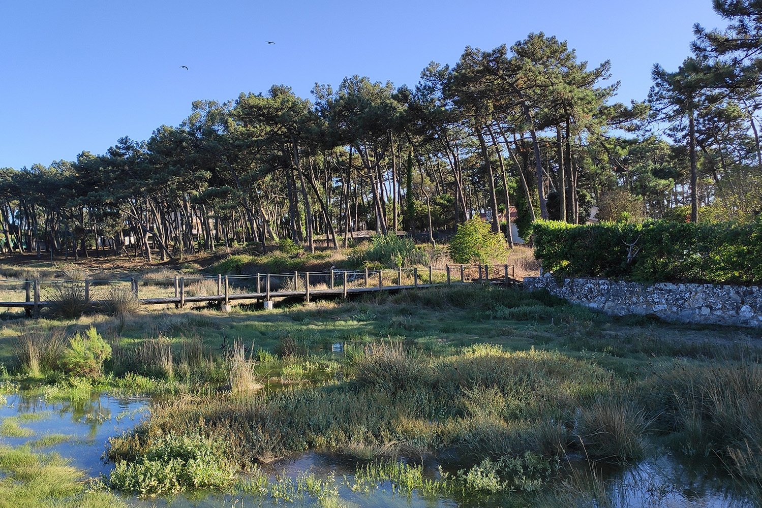 Interior_3_parques_naturais