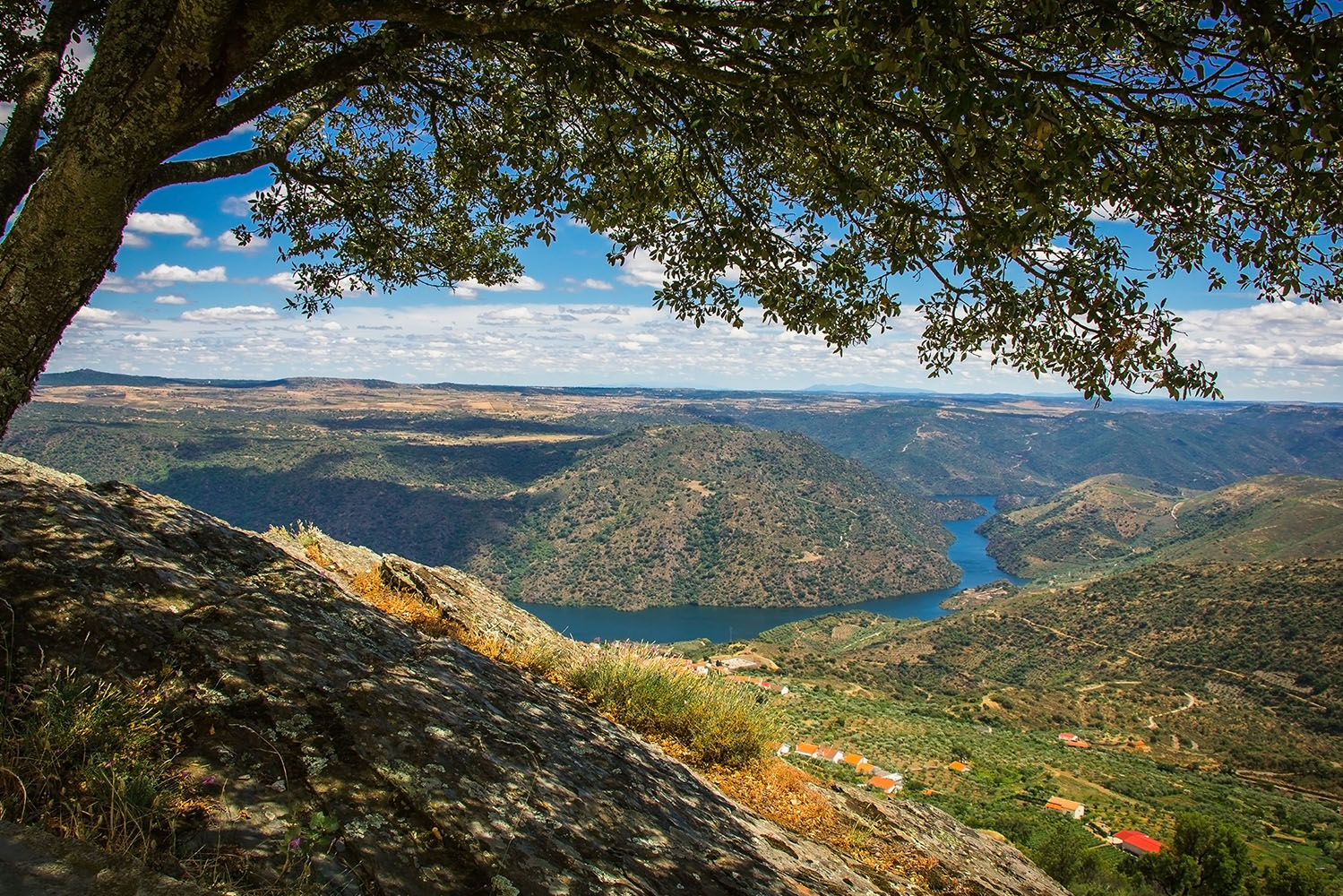 Interior_4_parques_naturais