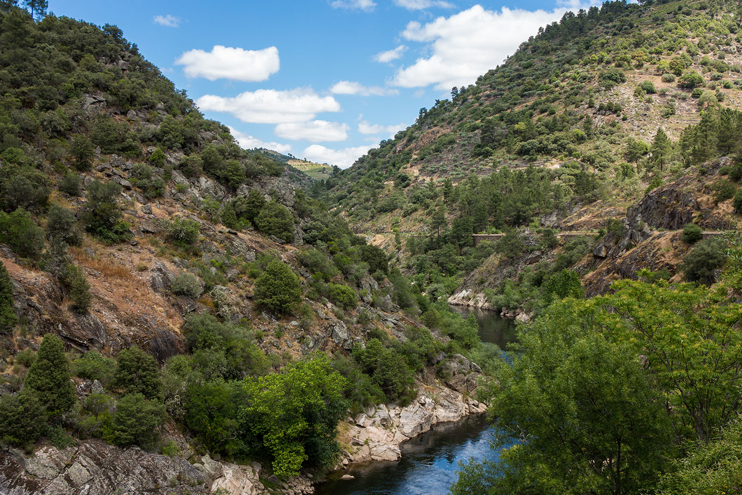 Interior_5_parques_naturais