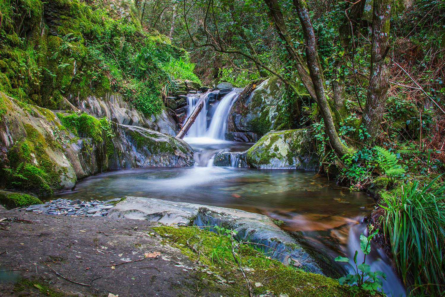 Paisagem Protegida da Serra do Açor, em Arganil