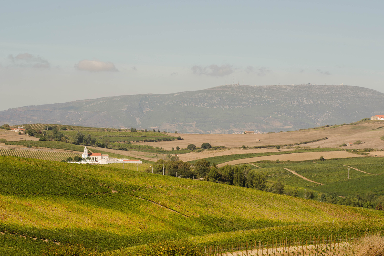 Paisagem Protegida da Serra de Montejunto, Cadaval e Alenquer