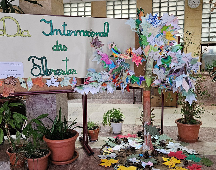 Interior-Comentario_Sandra_Morais