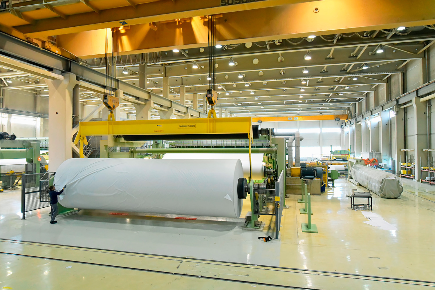 Indústria da pasta e papel dinamiza emprego no sector florestal