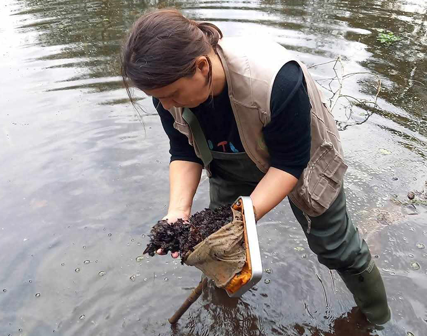 Interior-Comentario_Monica_Maia_Mendes Interior-Comentario_Monica_Maia_Mendes