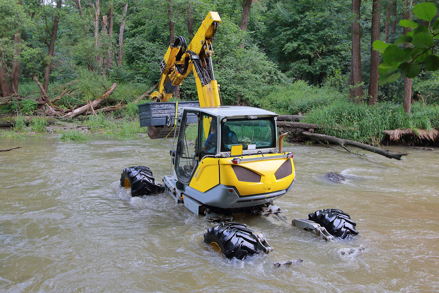 Soluções Baseadas na Natureza podem conjugar-se com soluções convencionais