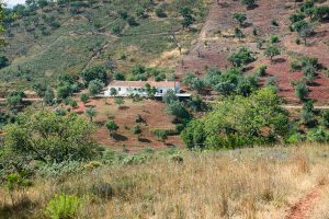 WWF implementa Soluções Baseadas na Natureza no Algarve