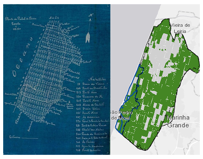 Maria Margarida da Silva Interior
