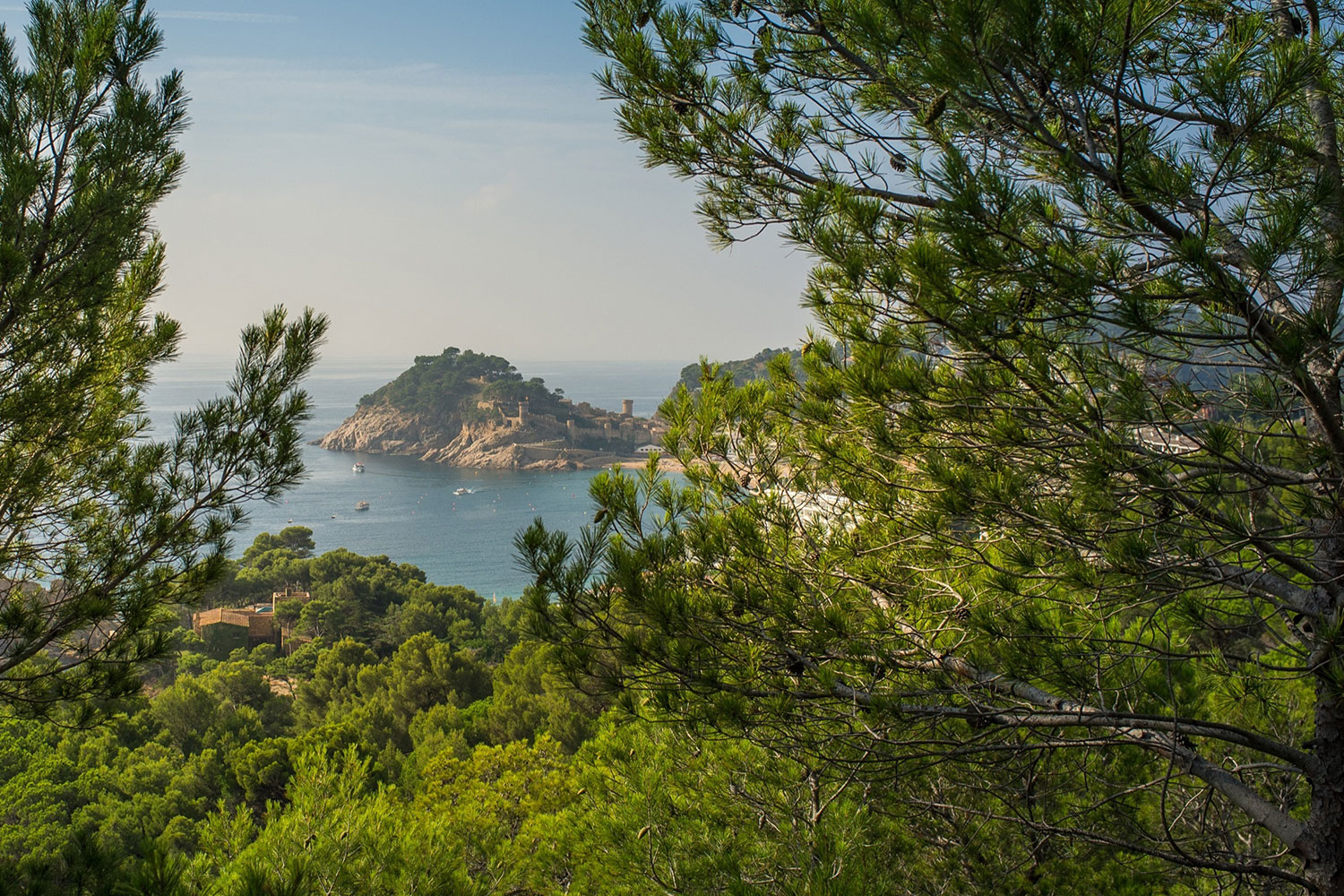 Relatório da FAO traça retrato da floresta na região mediterrânica