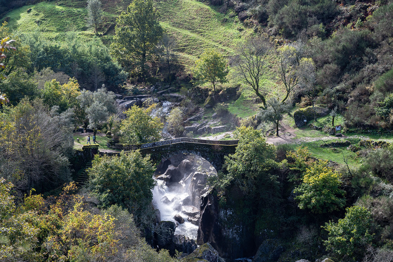 Interior_1_Realidade_Floresta_2025 Interior_1_Realidade_Floresta_2025