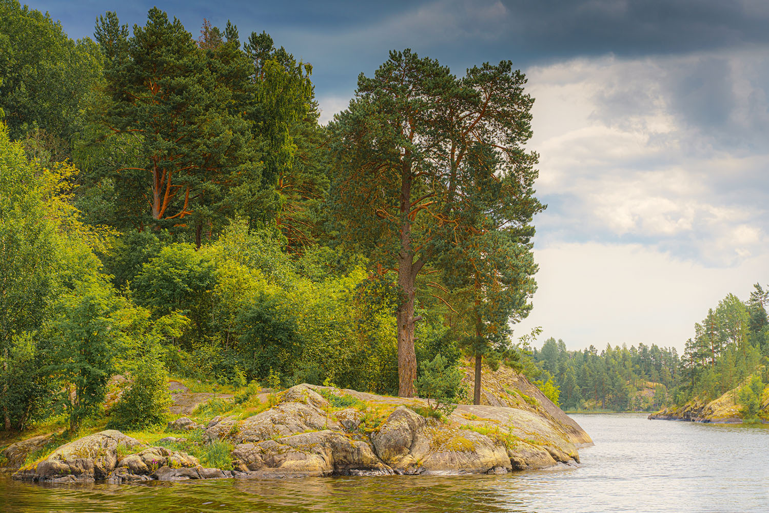 Interior_2_Realidade_Floresta_2025 Interior_2_Realidade_Floresta_2025