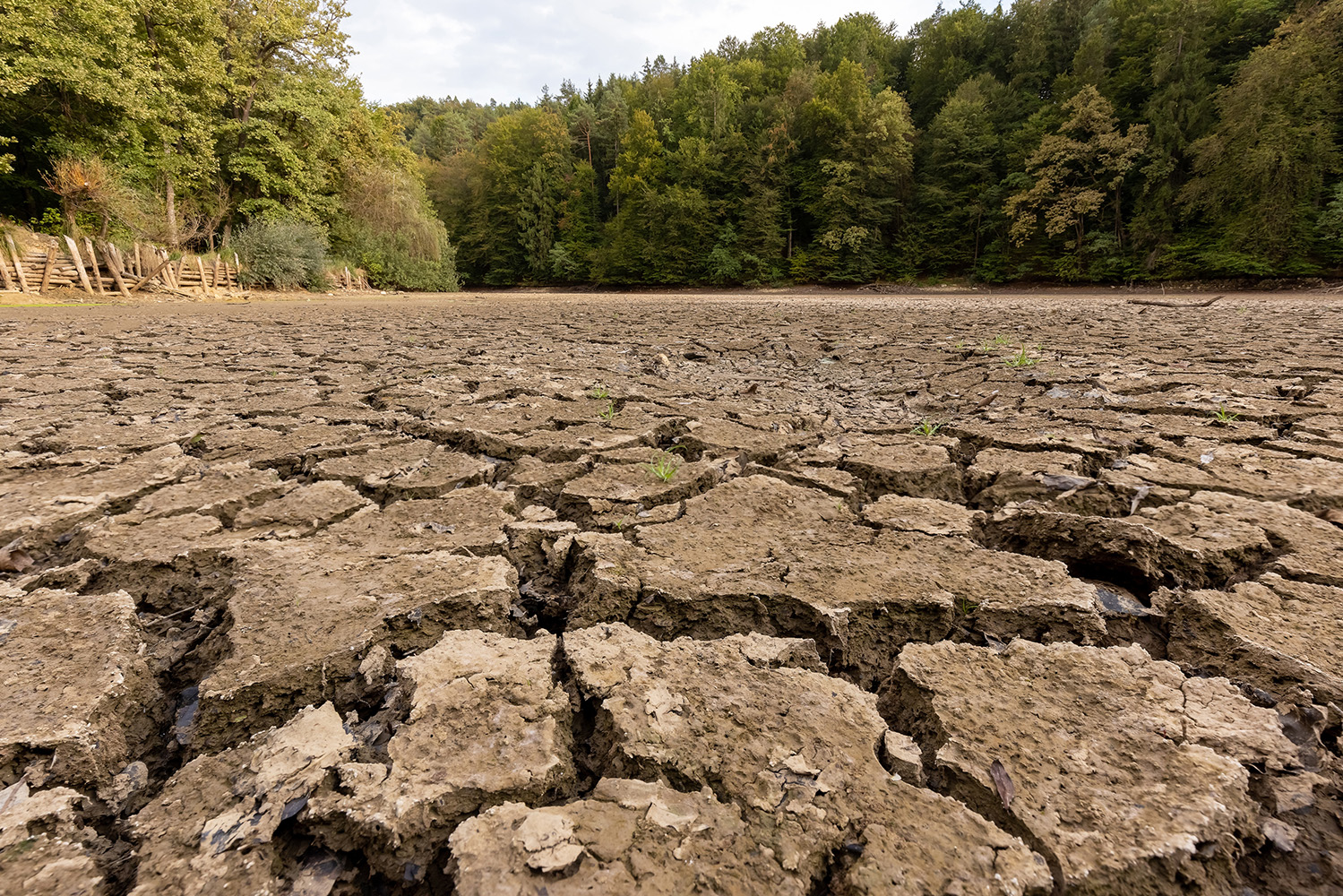Perturbações do microbioma do solo: seca