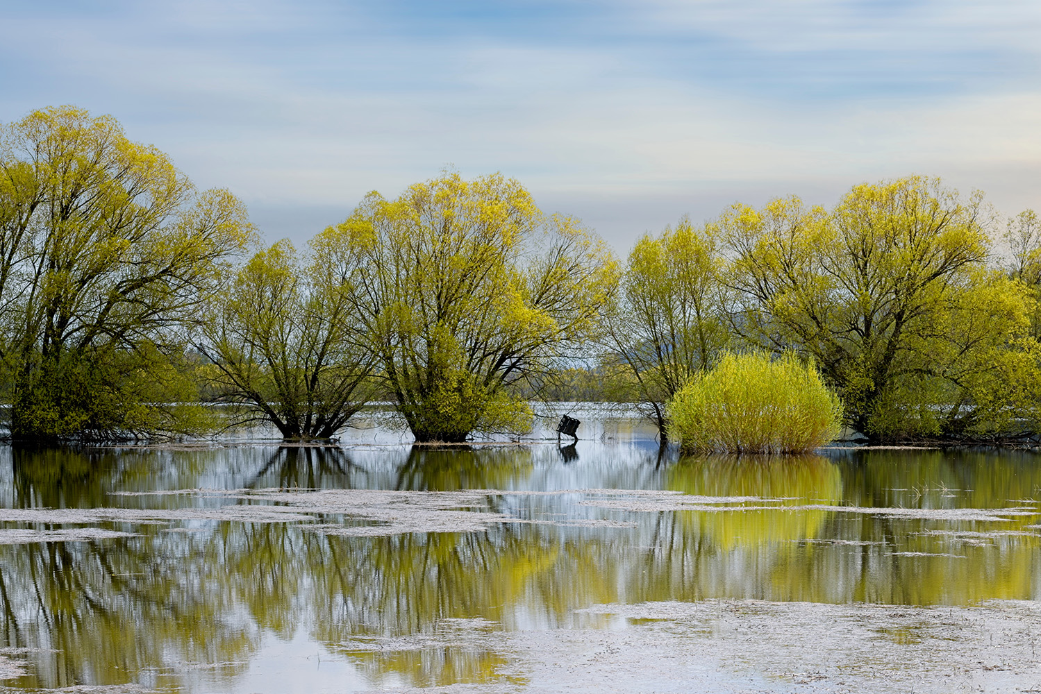 Perturbações do microbioma do solo: cheias