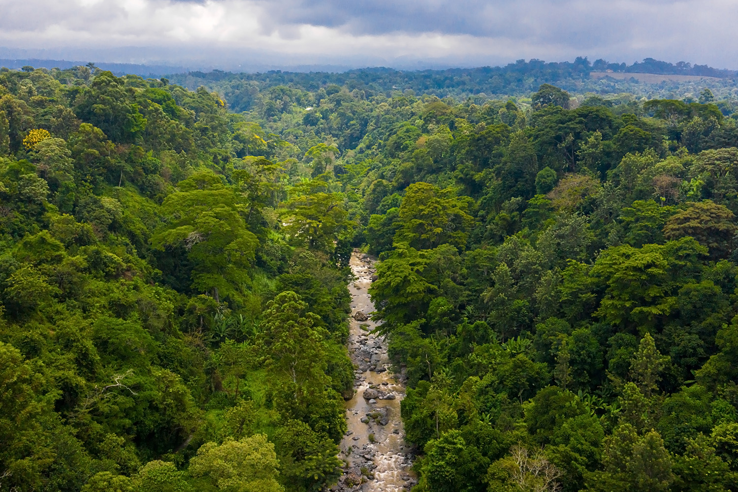 Interior_4_Realidade_Floresta_2025 Interior_4_Realidade_Floresta_2025