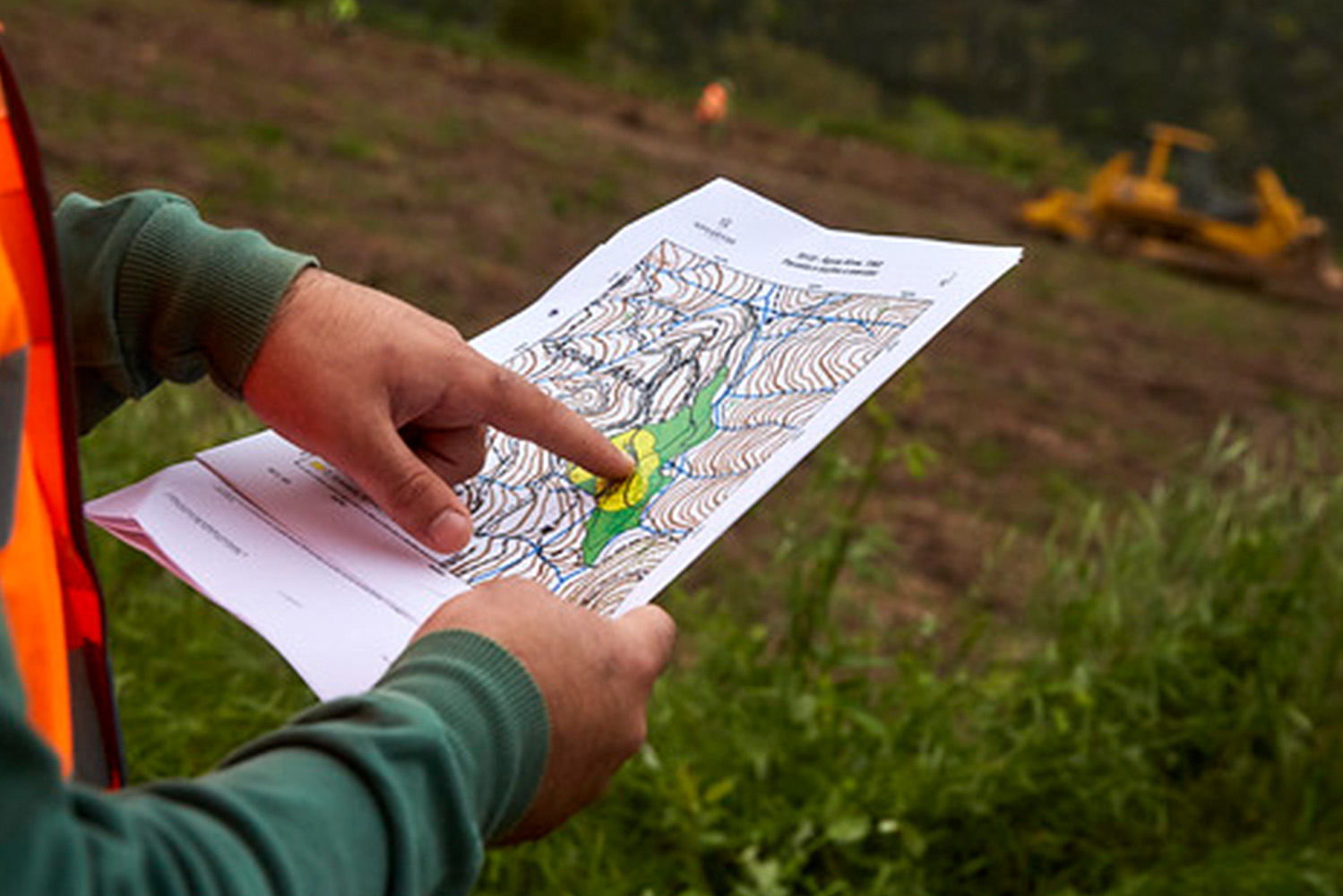 Interior_2_novas_florestacoes